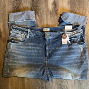 Lane Bryant High Rise Straight Jeans NWT